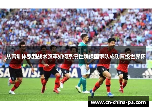 从青训体系到战术改革如何系统性确保国家队成功晋级世界杯
